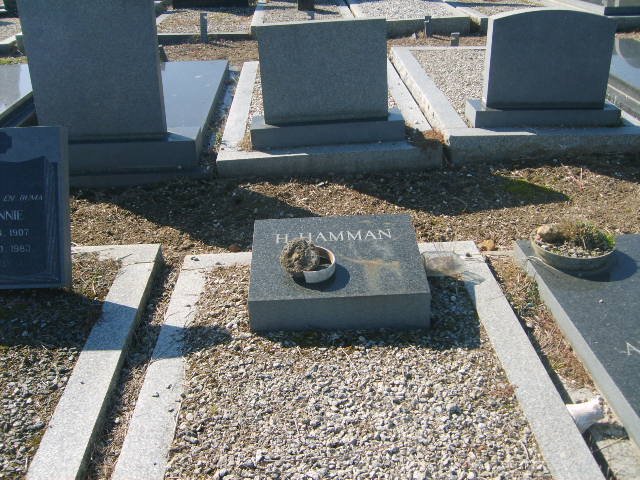HAMMAN H.