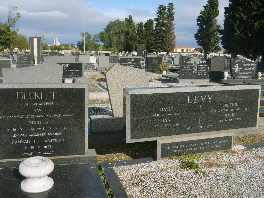 LEVY David 1934-1973 :: LEVY Drienie 1934-1973 :: LEVY Ian 1960-1973 :: LEVY David 1972-1973