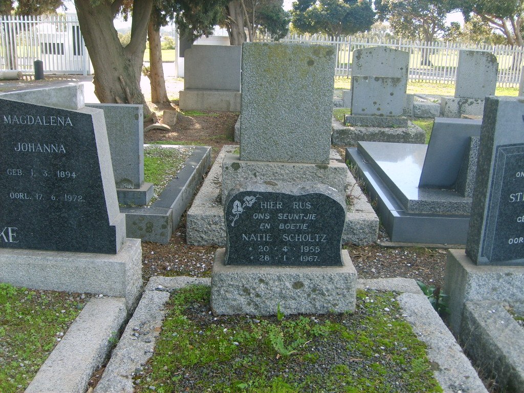 SCHOLTZ Natie 1955-1967