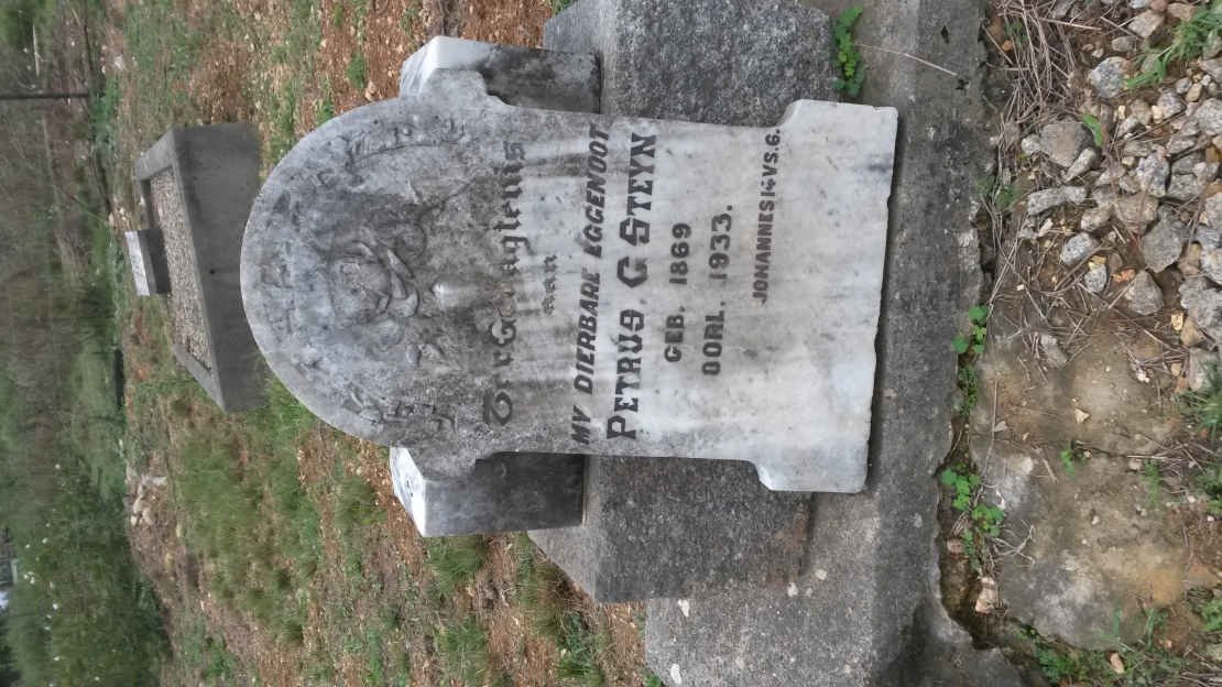 STEYN Petrus C. 1869-1933