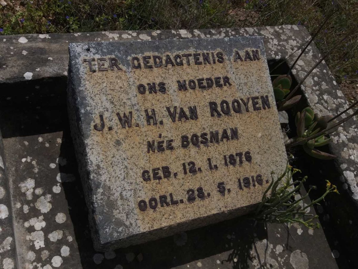 ROOYEN J.W.H., van nee BOSMAN 1876-1916