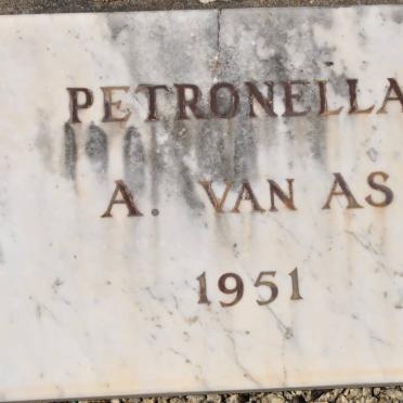 AS Petronella A., van 1951-1951