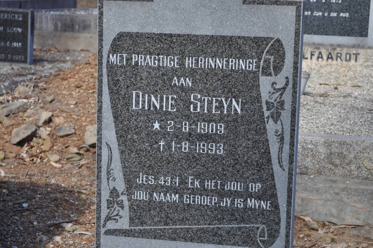 STEYN Dinie 1909-1993