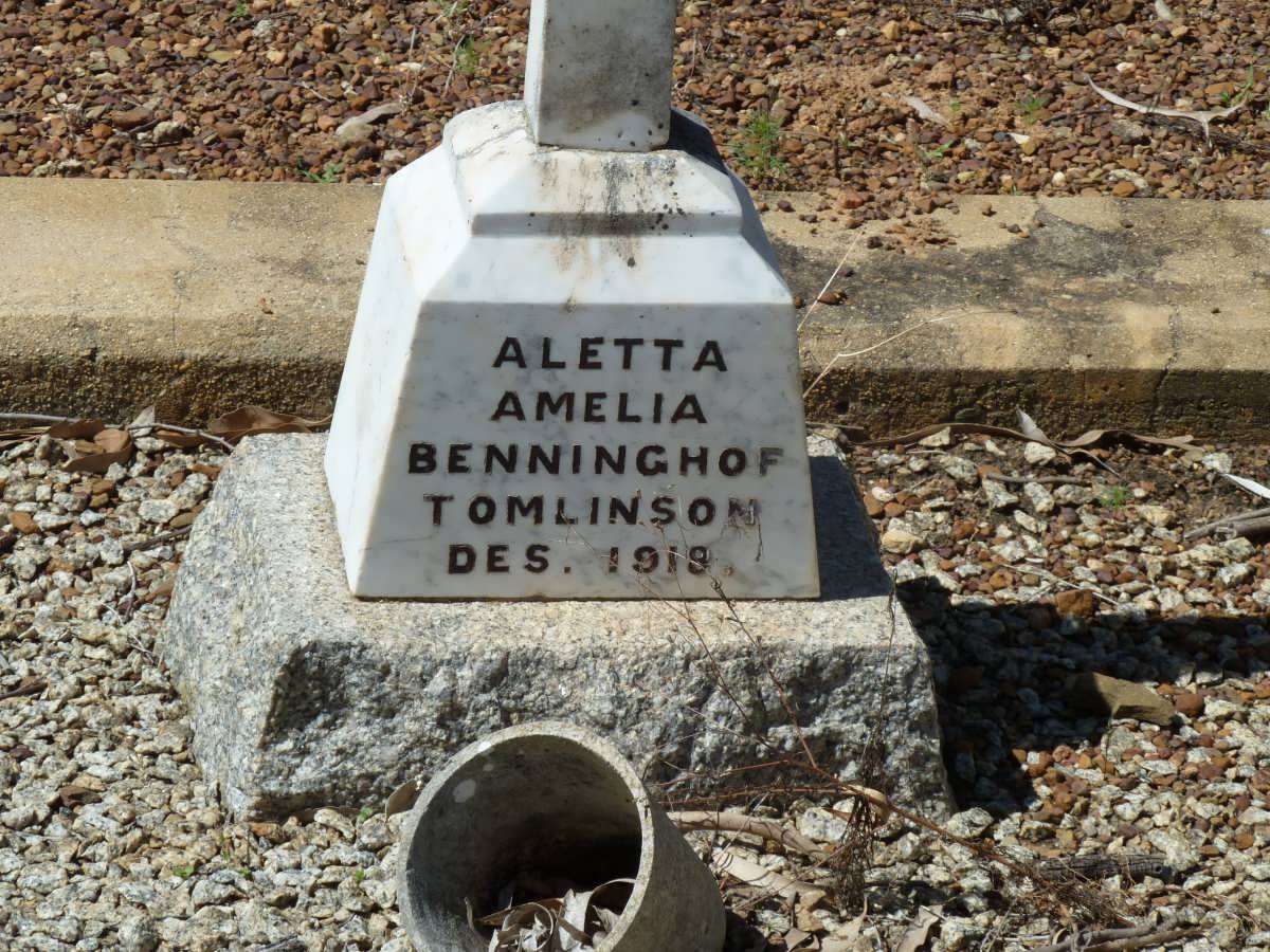 TOMLINSON Aletta Amelia Benninghof -1919