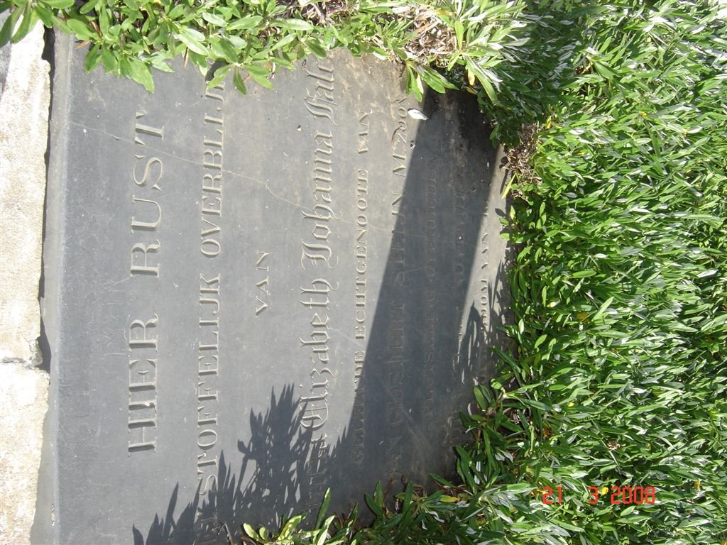 STEIJN Maria Elizabeth Johanna nee FALCK