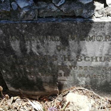 SCHURR G. James H. 1855-1928