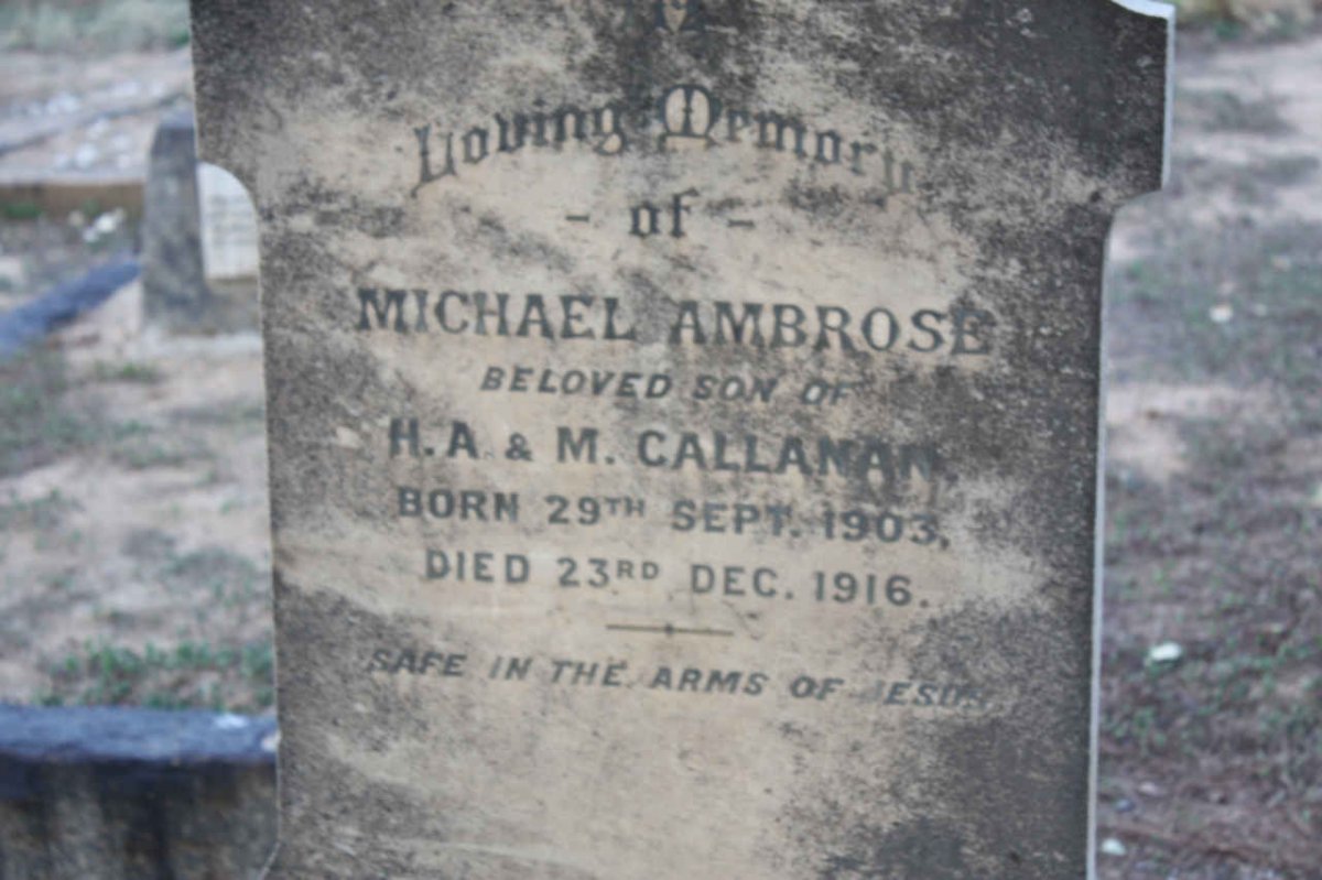 CALLANAN Michael Ambrose 1903-1916