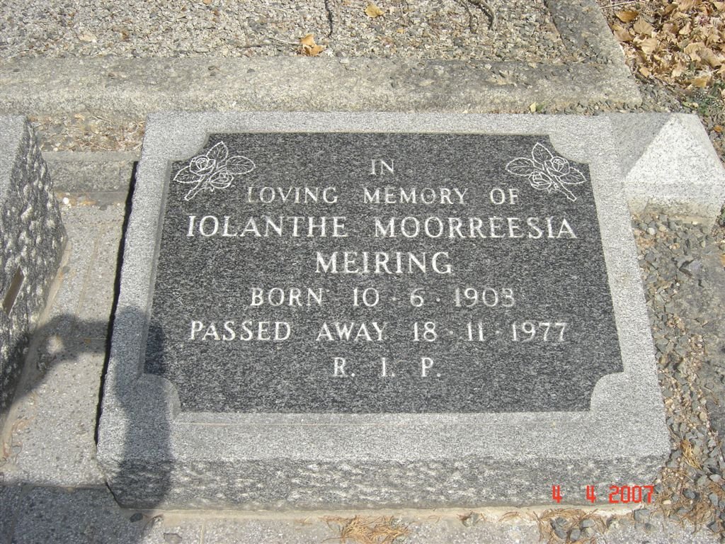 MEIRING Iolanthe Moorreesia 1903-1977