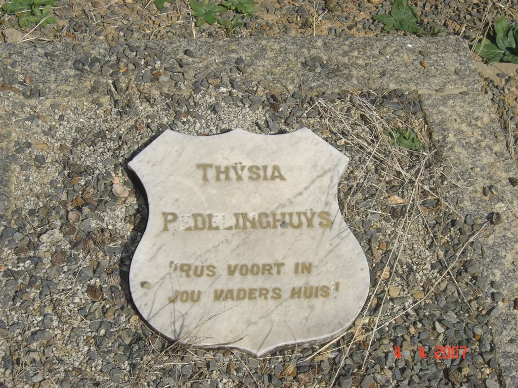 REDELINGHUYS Thysia