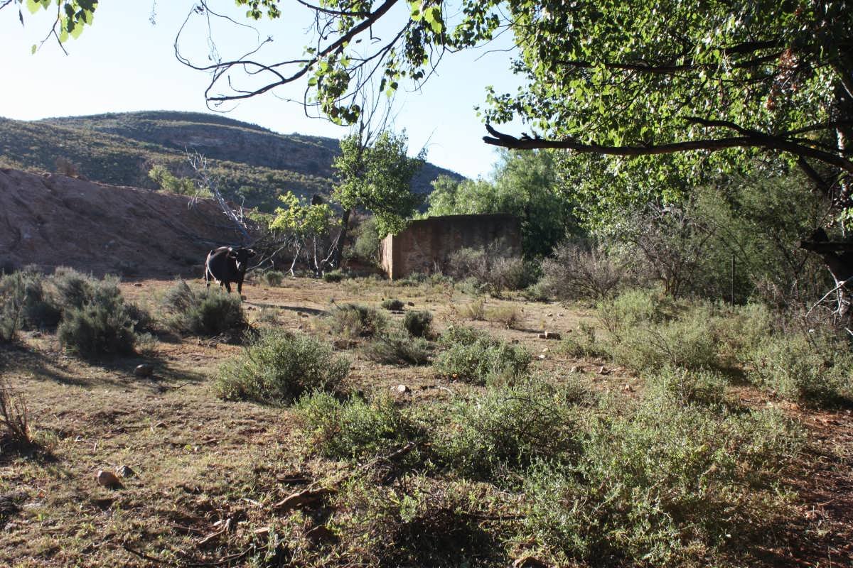 2. Overview