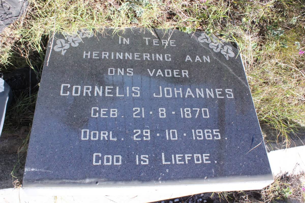 ZONDAGH Cornelis Johannes 1870-1965 _2