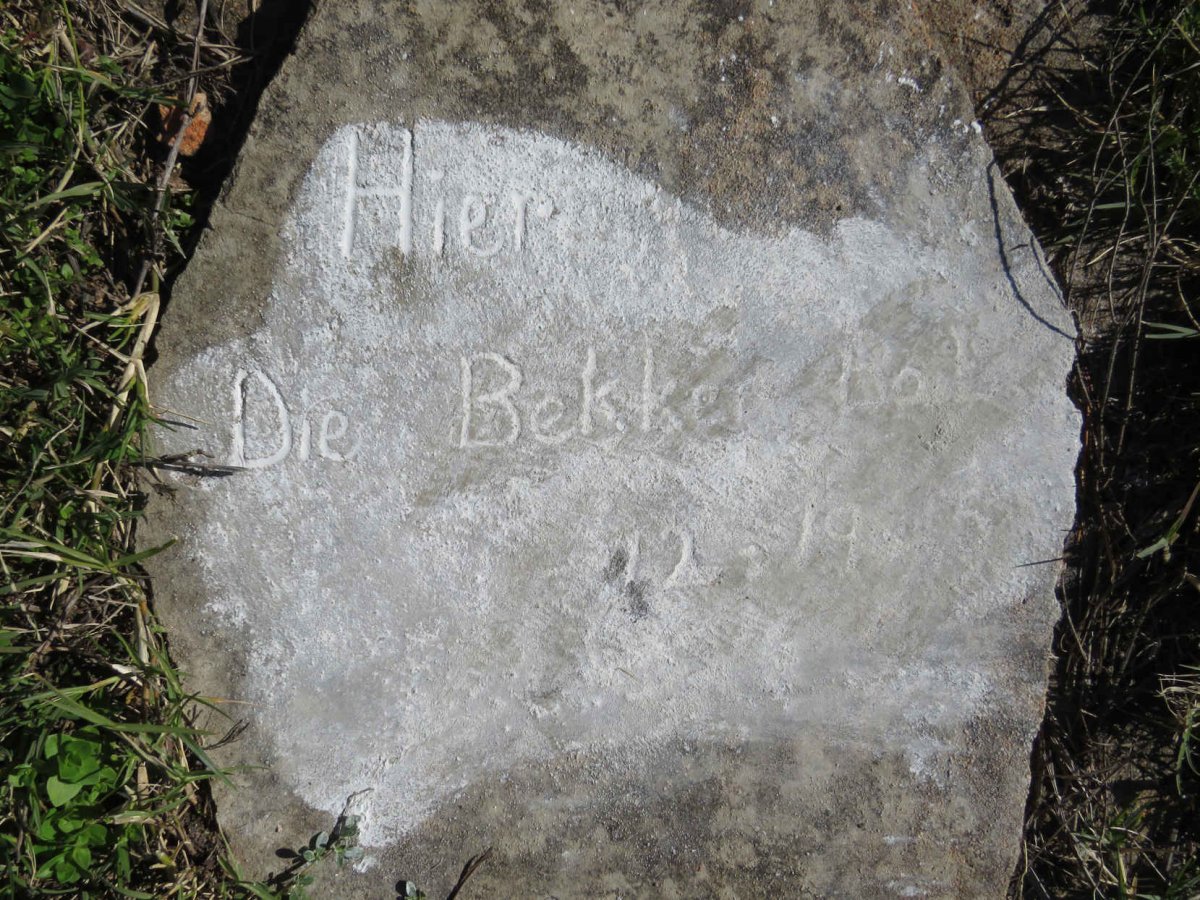 BEKKER Baba -19?5