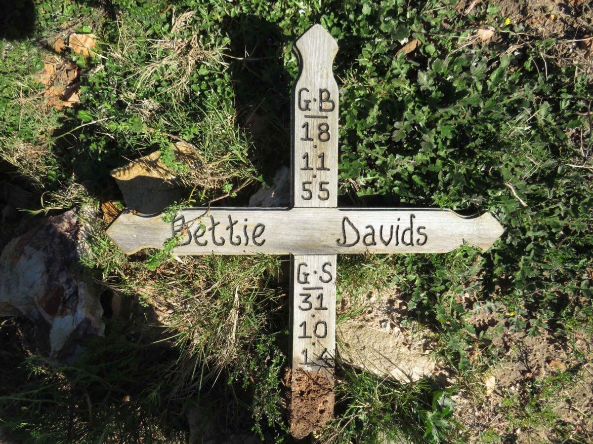 DAVIDS Bettie 1955-2014