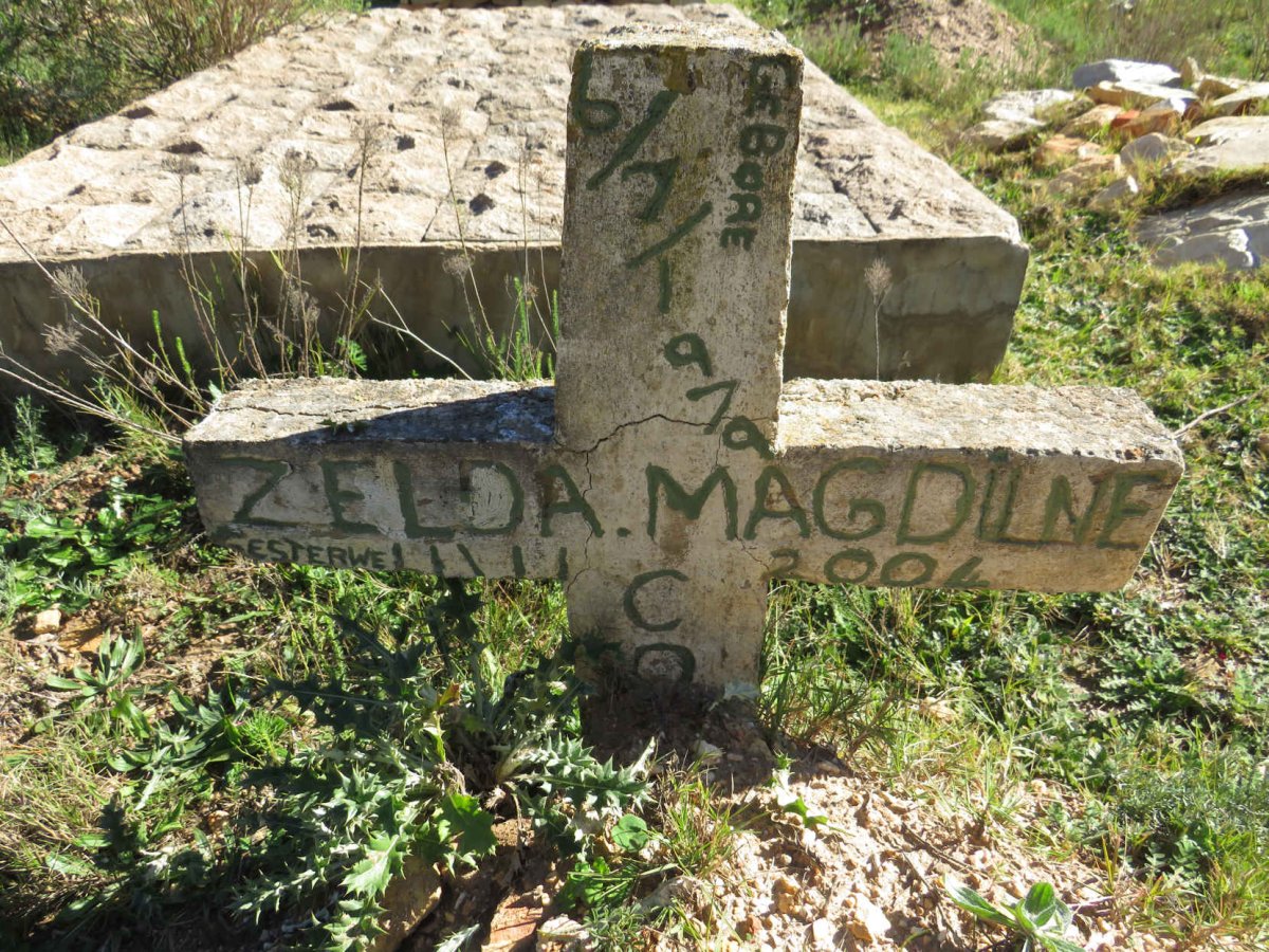 CO?? Zelda Magdilne 1979-2004