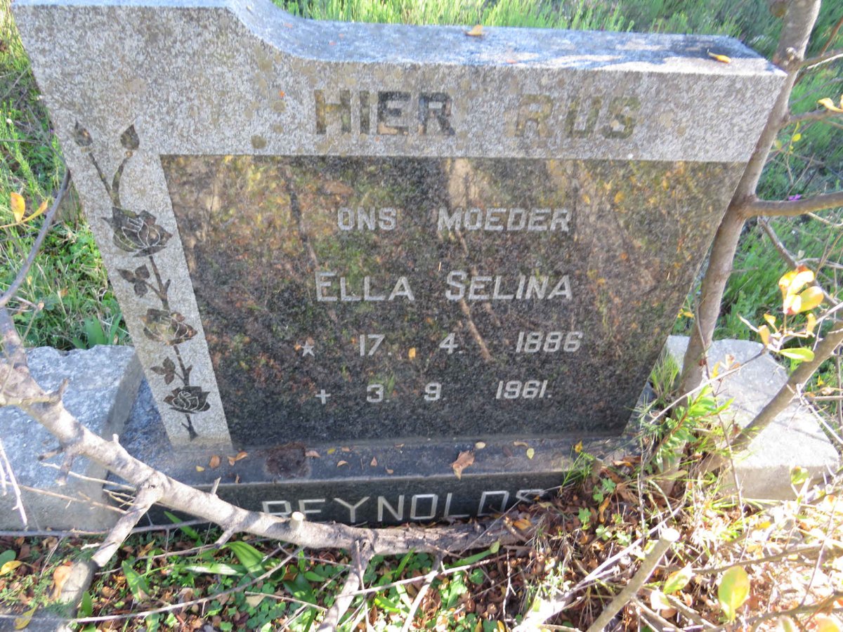 REYNOLDS Ella Selina 1886-1961