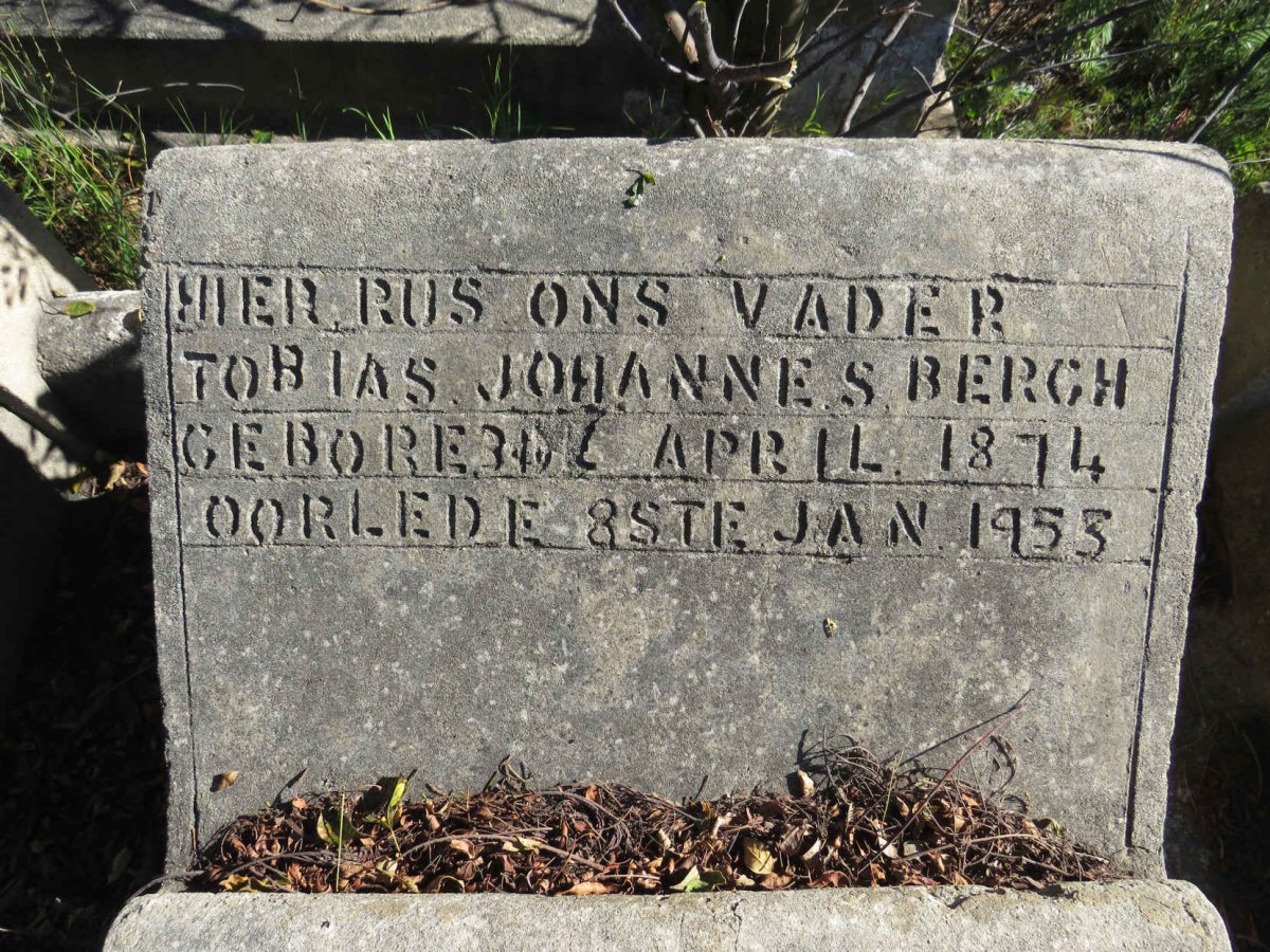BERGH Tobias Johannes 1874-1953