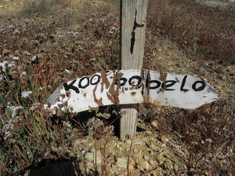 BOBELO Koos