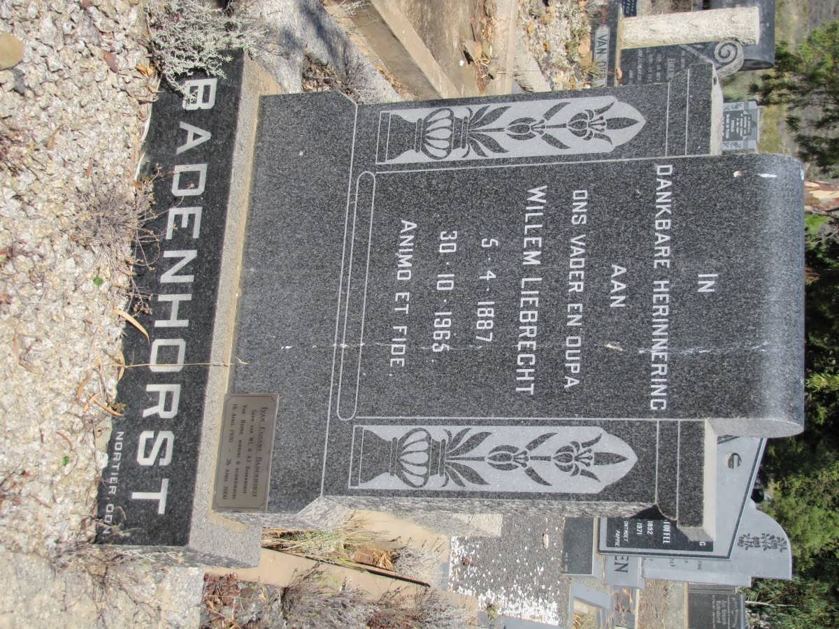 BADENHORST Willem Liebrecht 1887-1965