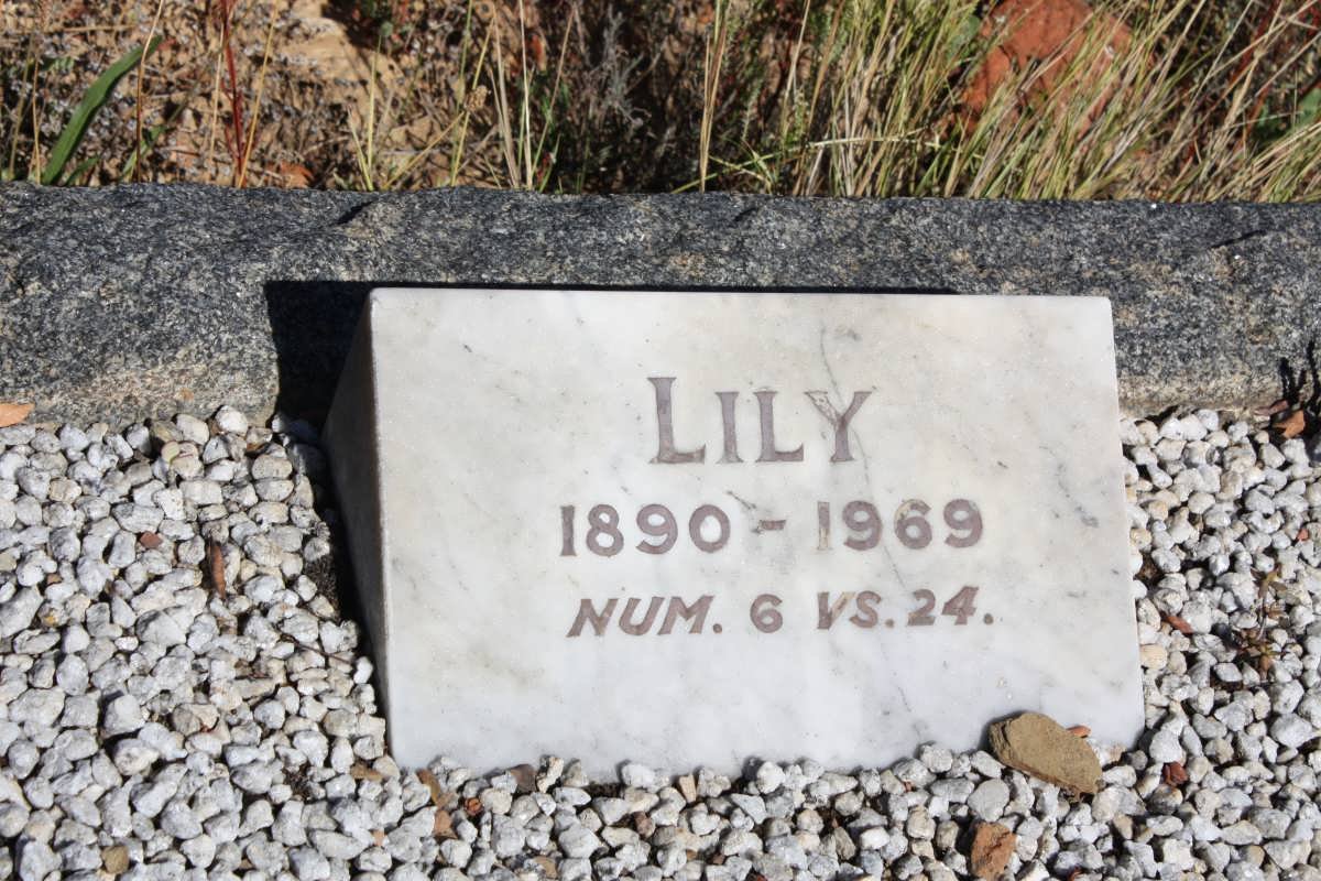 ? Lily 1890-1969