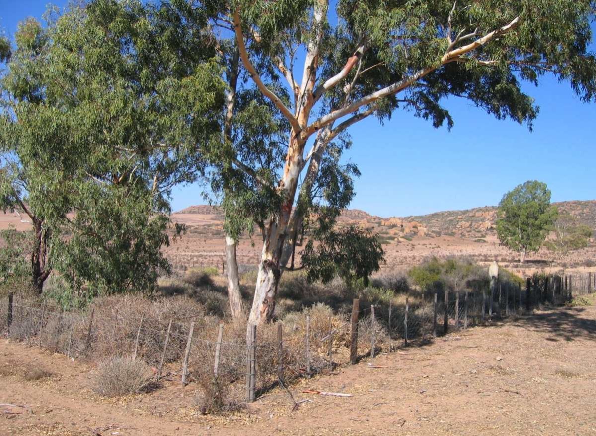 2. Oorsig