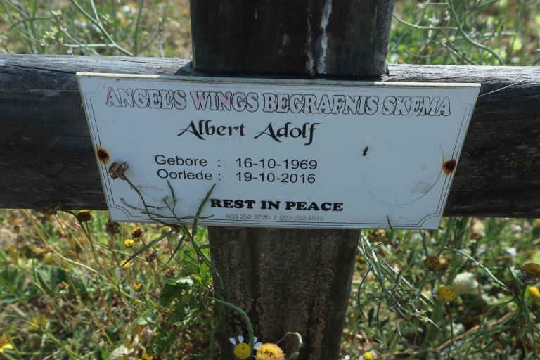 ADOLF Albert 1969-2016