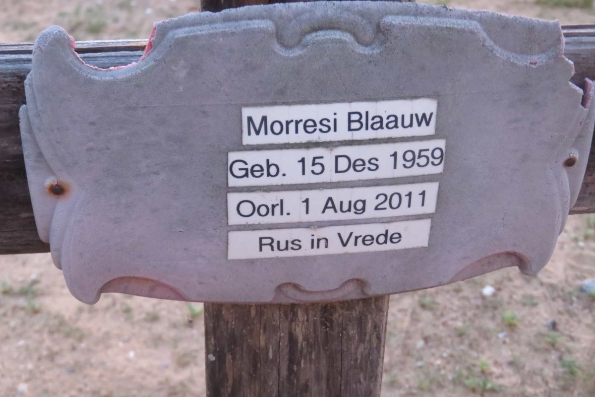 BLAAUW Morresi 1959-2011