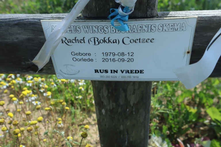 COETZEE Rachel 1979-2016