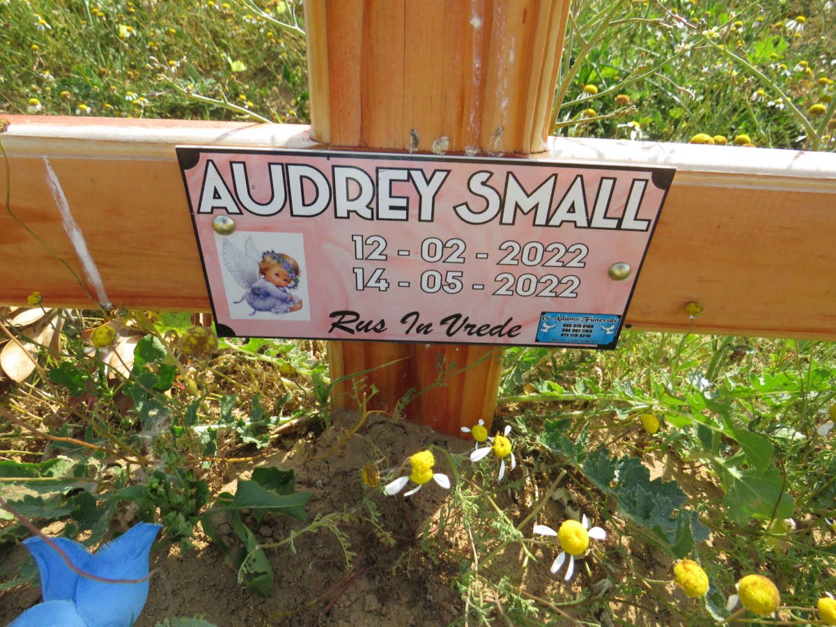 SMALL Audrey 2022-2022