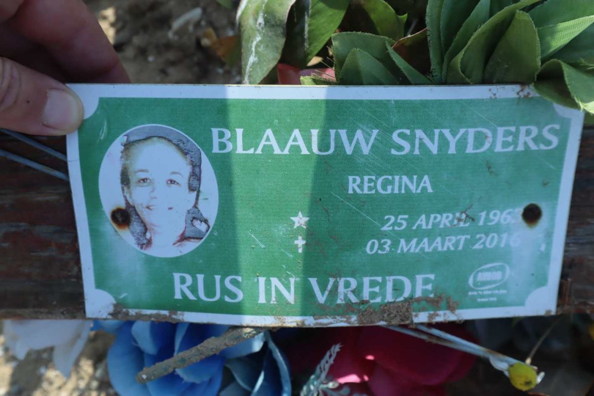 SNYDERS Blaauw Regina 1963-2016
