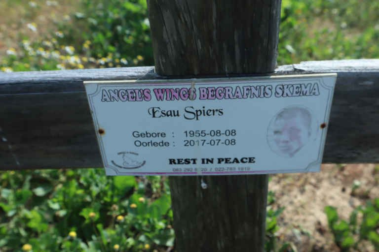 SPIERS Esau 1955-2017