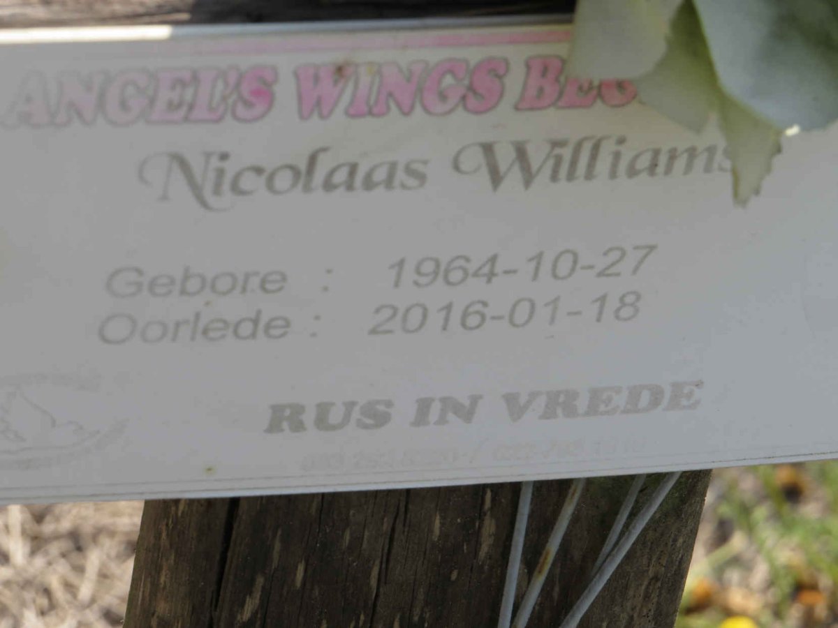 WILLIAMS Nicolaas 1964-2016