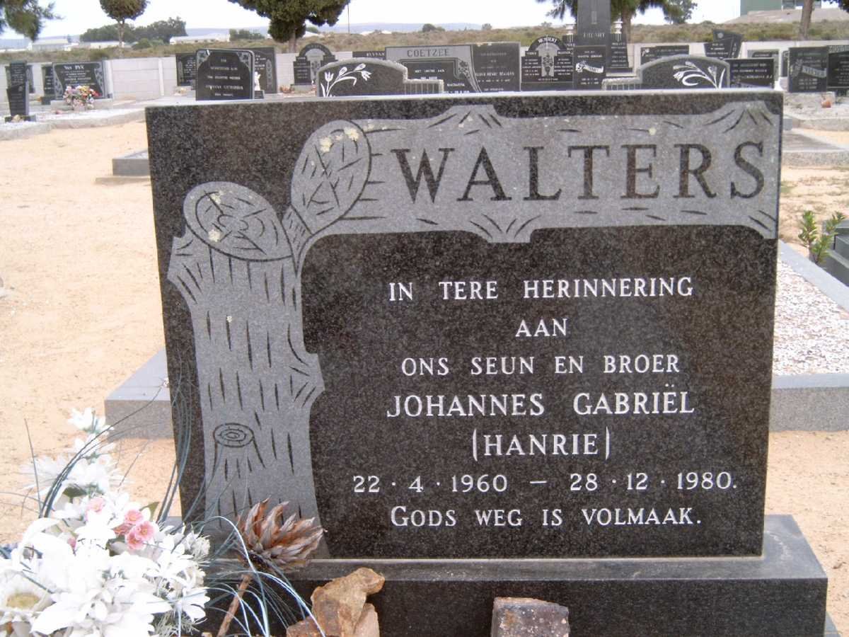 WALTERS Johannes Gabriël 1960-1980