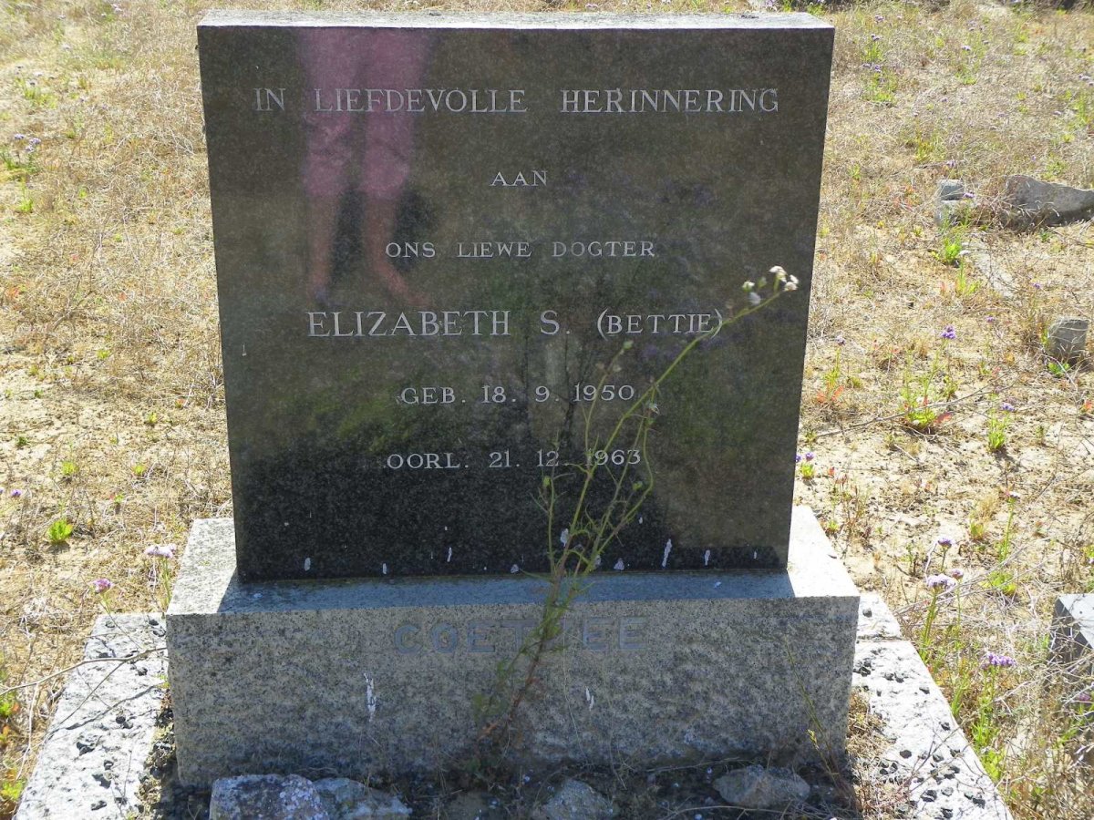 COETZEE Elizabeth S. 1950-1963