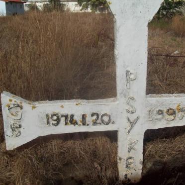 SYKES P. 1974-1997