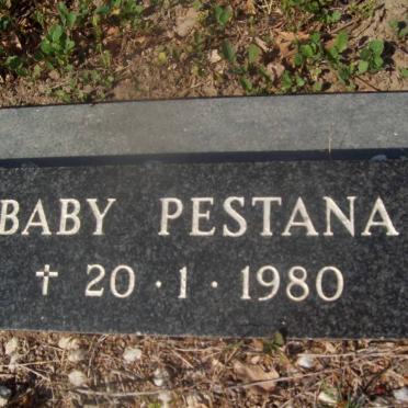 PESTANA Baby -1980
