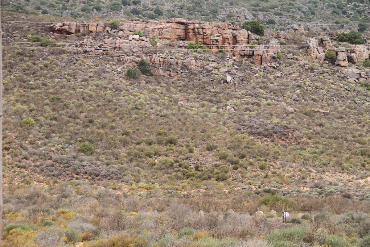 1. Overview on the cemetery