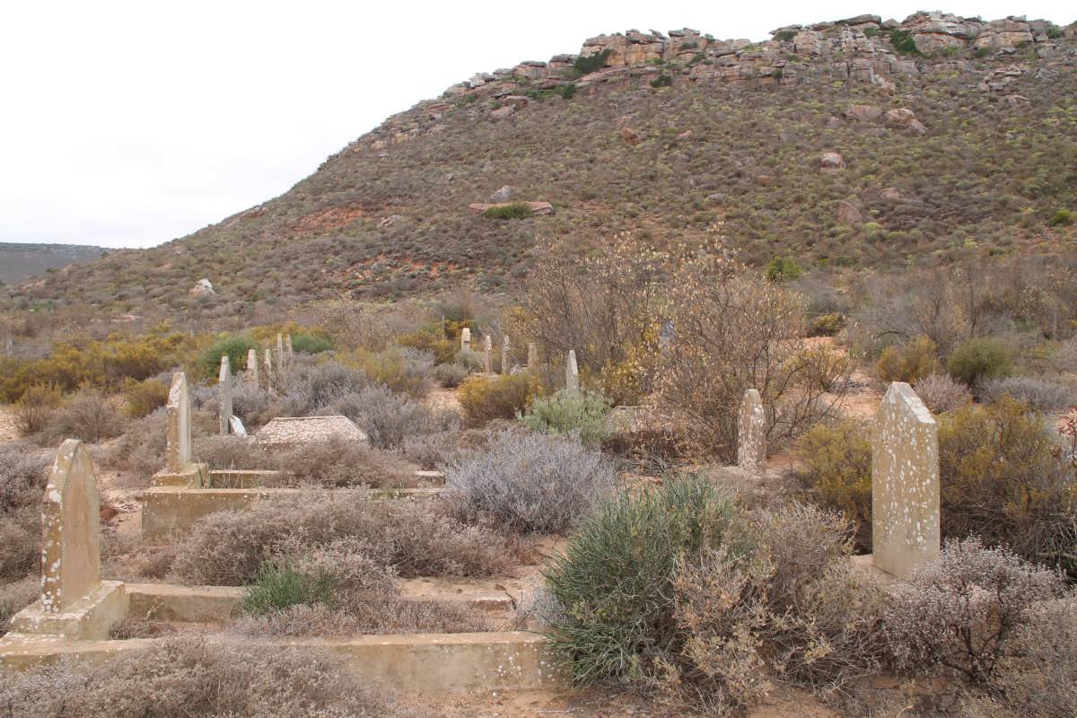 4. Overview