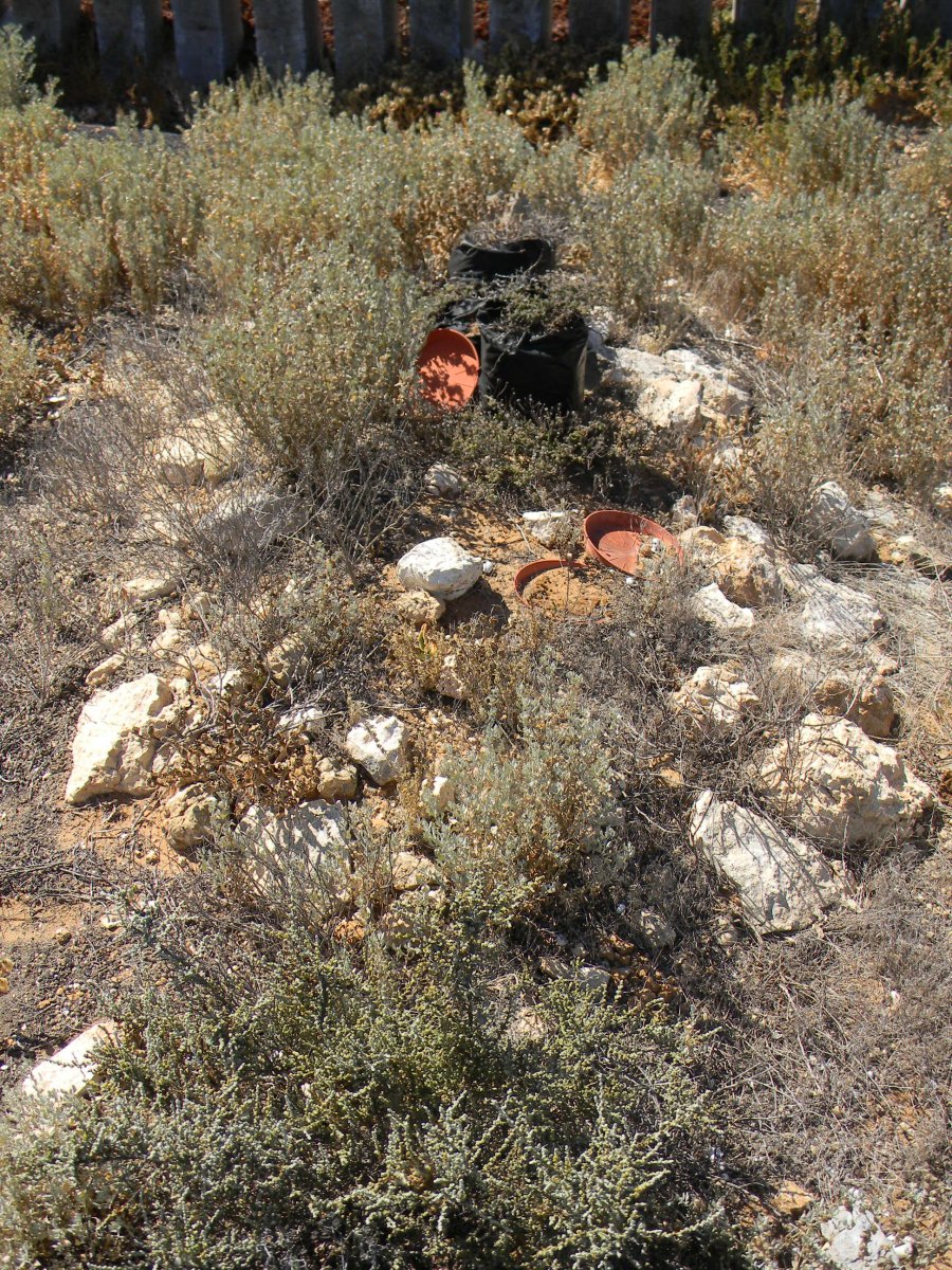 ? Unmarked Grave