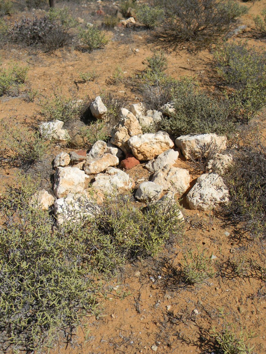 ? Unmarked Grave