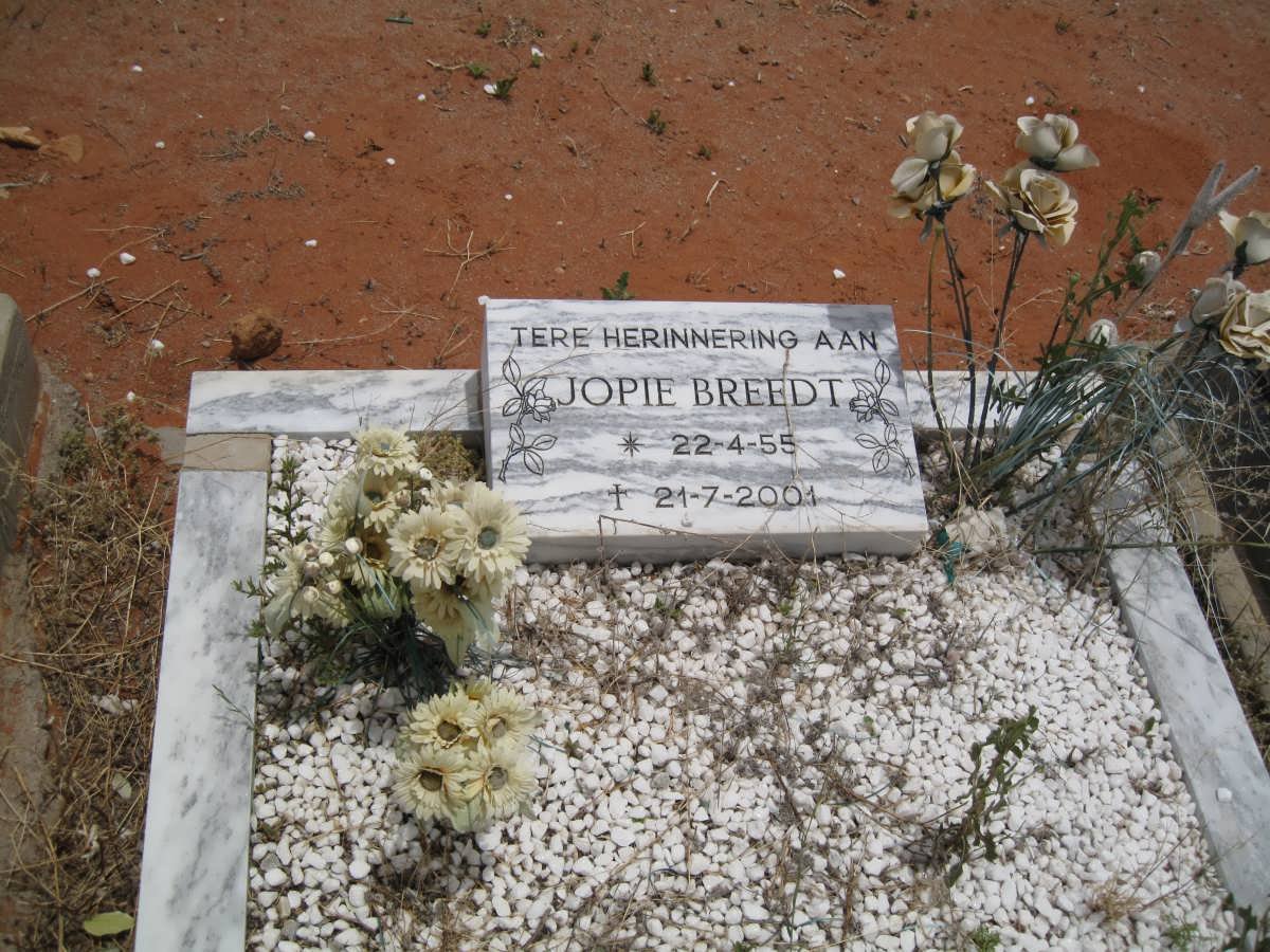 BREEDT Jopie 1955-2001