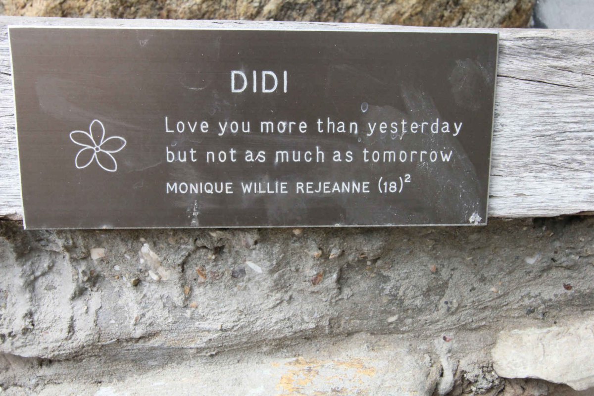 COERTZE Didi 1993-2012