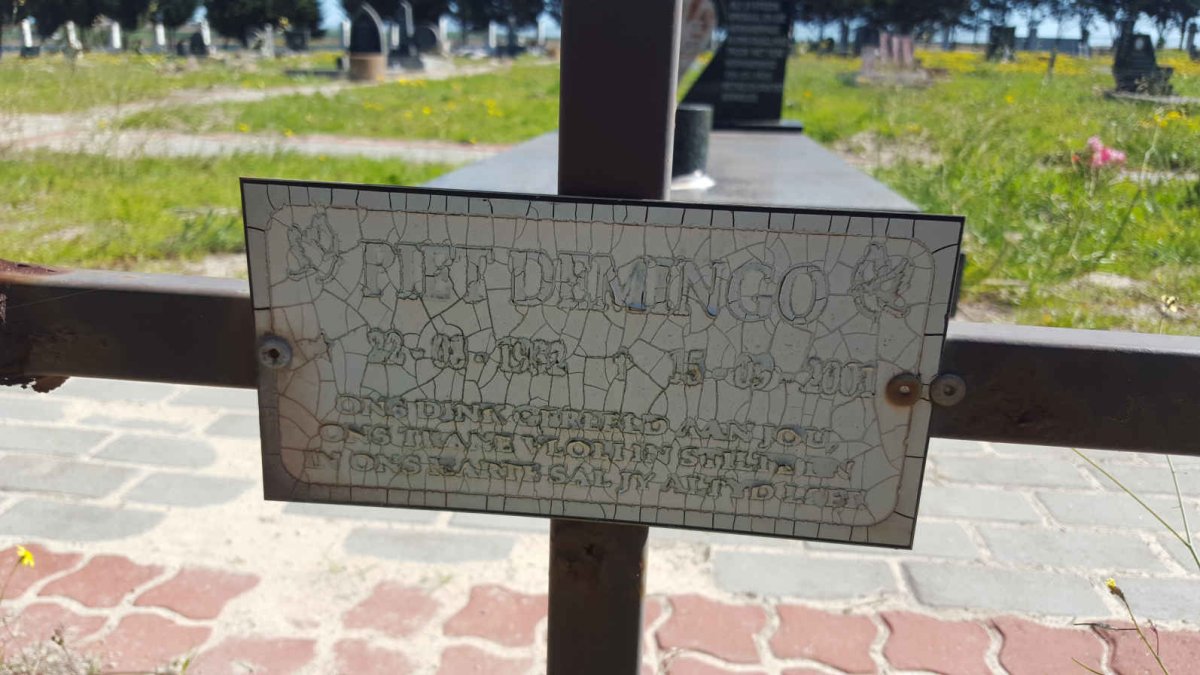 DEMINGO Piet 1932-2001