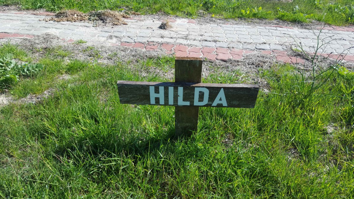 ? Hilda