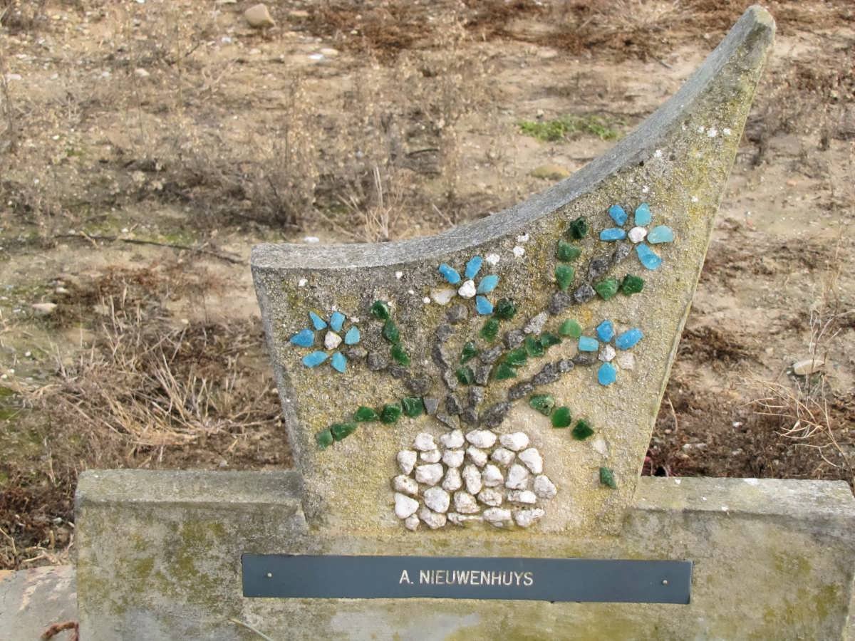 NIEUWENHUYS A.
