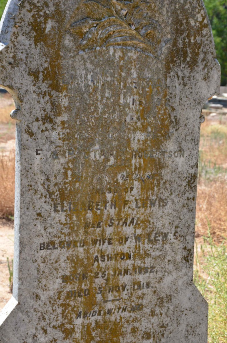 STAAL F. &amp; P. :: LEWIS Elizabeth F. nee STAAL 1892-1918