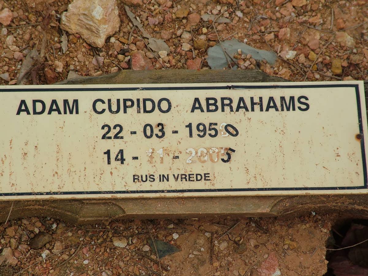 ABRAHAMS Adam Cupido 1950-2005