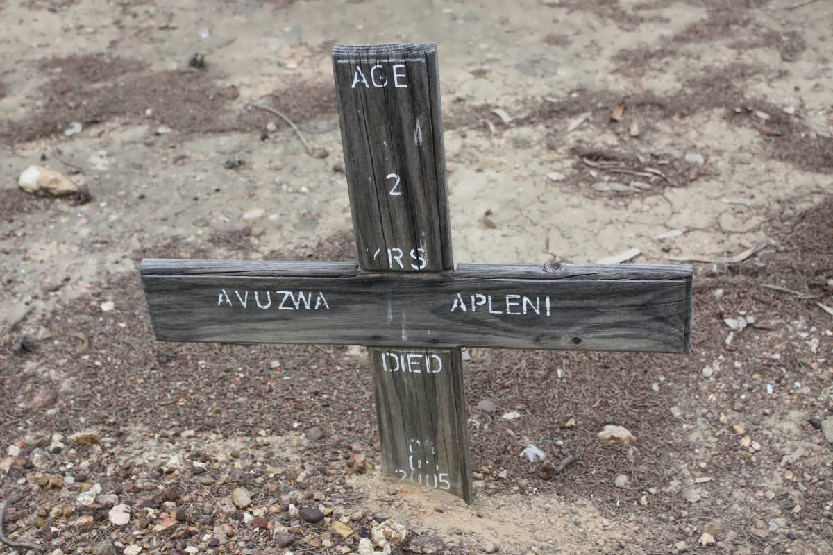 APLENI Avuzwa -2005