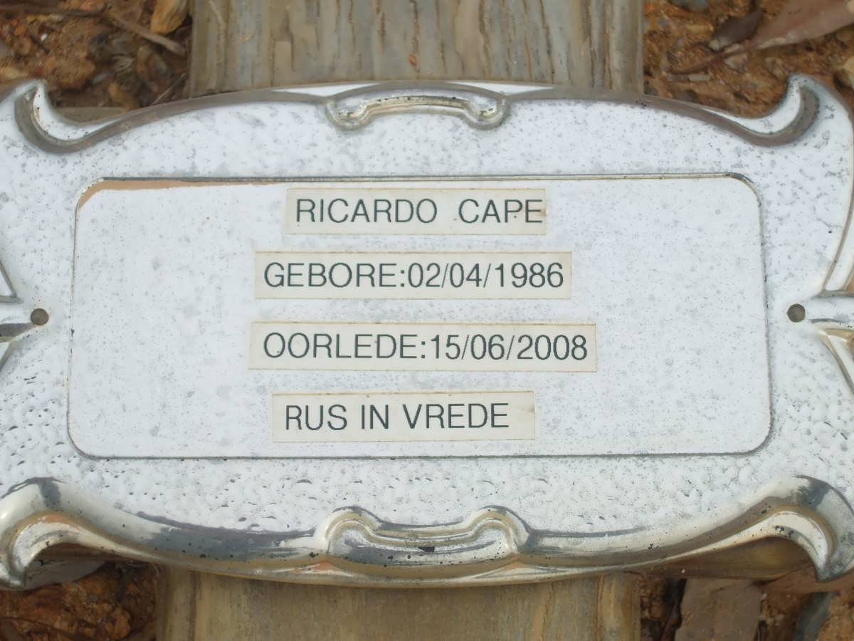 CAPE Ricardo 1986-2008
