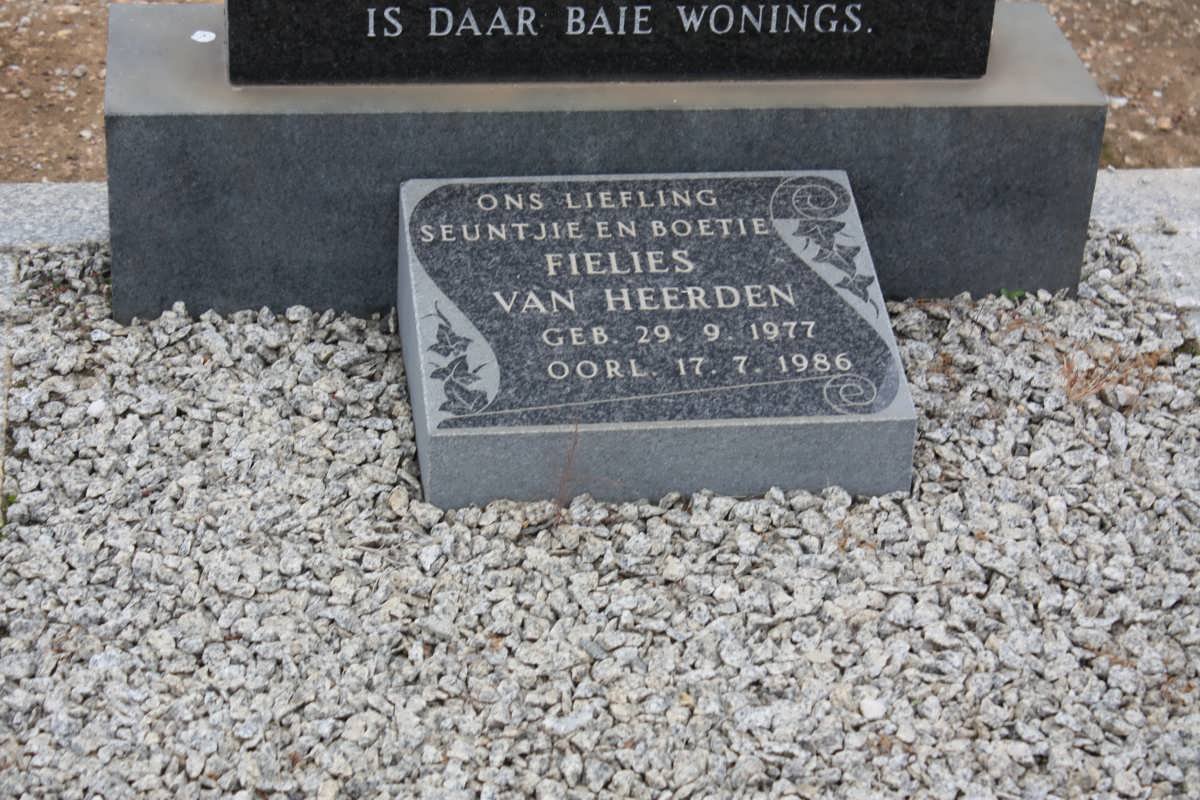 HEERDEN Fielies, van 1977-1986