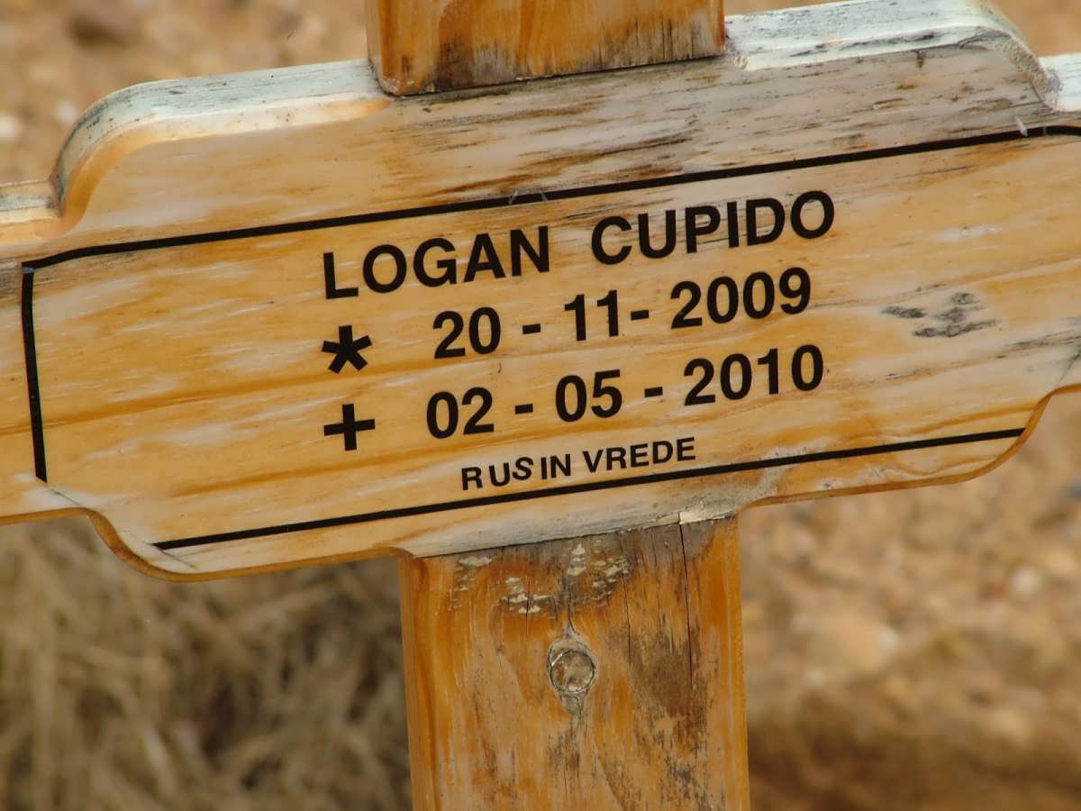 CUPIDO Logan 2009-2010